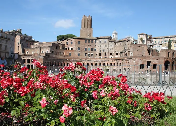 All Colosseo *